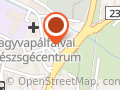 Fagyöngy Gyógyszertár