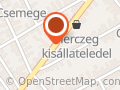 Alszegi Team