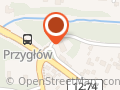 PZU Ubezpieczenia Sulejów - Agent Anna Lasek
