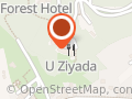 Zamek w Przegorzałach