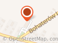 Biedronka