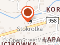 Stokrotka