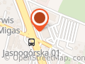 Autopunkt