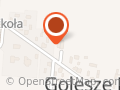 PARAFIA MIŁOSIERDZIA BOŻEGO W GOLESZACH DUŻUCH