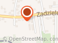 Gospodarstwo Ogrodnicze, Azalia