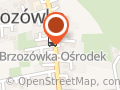 studio figura brzozówka