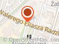 Lizard Media (Cracow Team)