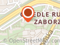 Firma Zabezpieczeń Specjalnych T. Bizon