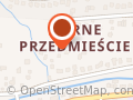 Oldmaster Solution - Szkolenia i Tłumaczenia