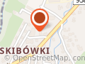 Zakopane Apartamenty Skibówki