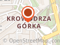 Pirtronik. Gustaw Konieczny