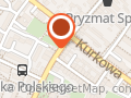 Auto-asist