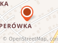 FIRMA USŁUGOWA INFOPEL
