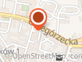 Zorza. Pracownia tatuażu