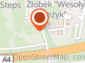 Alu-Mat Mobilna Wulkanizacja Regeneracja Malowanie Proszkowe Felg Sezonowa Wymiana Opon Kraków