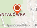 Gontyna