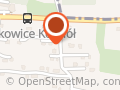 Wypożyczalnia samochodow (wynajmujemybusy.pl)