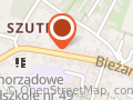 Magiel Elektryczny