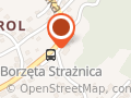 OCHOTNICZA STRAŻ POŻARNA W BORZĘCIE