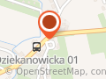 Dziaduch Leszek. Autokonserwacja