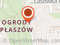 Kęsek Franciszek. Kwiaty Balkonowe, Iglaki