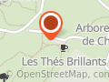 Les Thés Brillants - Châtenay