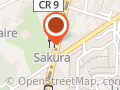Ecir