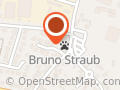 Straub Bruno