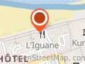 L'iguane