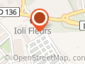 IOLI FLEURS - Biggio Paulette