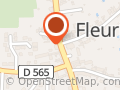 Superette de fleurines