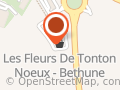 Les Fleurs De Tonton Noeux - Bethune