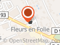 Fleurs En Folie