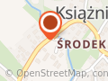 NEWGEO Usługi Geodezyjne inż. Łukasz Perzyński