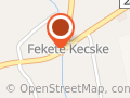 Fekete Párduc 98 Bt