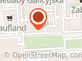 Hodowla kotów rasy korat Sezerp*PL