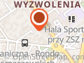 P.u.h Car - Max Zbigniew Gacek
