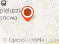 PROJEKT PIEŃCZAK