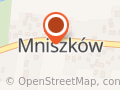 Dworek Mniszków 17