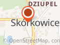 Groszek