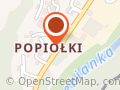 Automatic. Naprawa automatycznych skrzyni biegów. Popiołek A.