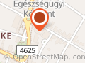 Hagyományos Ízek Újszilvásról (Szilváshús Kft.)