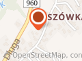Góral Express Przewozy Miedzynarodowe