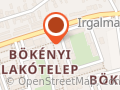 Csongrád festő