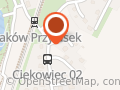 RP TRANSusługi Transportowe Rafał Olejnik