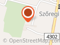 Gumiabroncs-szervíz
