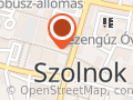 Szolnoki Szimfonikus Zenekar Nonprofit Kft.
