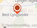 Fysioterapeut Hege Therese Robertsen