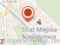 RAMIARZ Oprawa Obrazów Artykuły dla plastyków podobrazia , farby, pędzle