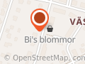 Bi's Blommor